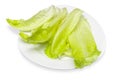 Fresh cos or romaine lettuce on white background Royalty Free Stock Photo