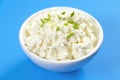 Fresh cottage cheese Royalty Free Stock Photo