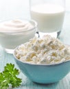 Fresh cottage cheese and dairy products