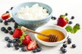 Fresh cottage cheese, honey and berries for healthy eating