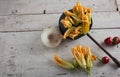 Fresh courgette flower