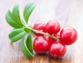 Fresh cowberry Royalty Free Stock Photo