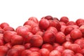 Fresh cowberry Royalty Free Stock Photo