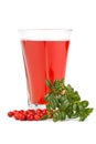 Fresh cowberry and berry juice glass Royalty Free Stock Photo