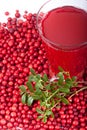 Fresh cowberry and berry juice glass Royalty Free Stock Photo