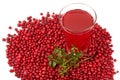 Fresh cowberry and berry juice glass Royalty Free Stock Photo