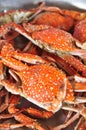 Fresh Crab background
