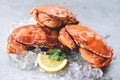 Fresh crab on ice and lemon for salad on plate background - Cooked crabs seafood Royalty Free Stock Photo