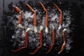 Fresh crab legs on ice Royalty Free Stock Photo