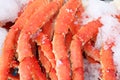 Fresh crab legs Royalty Free Stock Photo