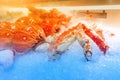 Fresh Crab seafood on ice Royalty Free Stock Photo