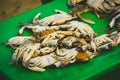 Fresh Crab Selling On The Boat Near Kovalam, Chennai Beautiful and Business Scenario Image