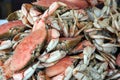 Fresh crabs