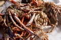 fresh crabs on fish market Royalty Free Stock Photo