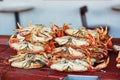 Fresh crabs in one of seafood restaurants at Fishermen wharf in San Francisco Royalty Free Stock Photo