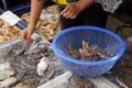 Fresh crabs prepare to sell on street food market