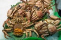 Fresh crabs for sale at la Boqueria market in Barcelona, Mediterranean cuisine gourmet food