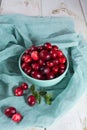 Fresh cranberries in a blue bowl. Ripe berries of Vaccinium macrocarpon, also large cranberry, American cranberry or bearberry.