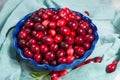 Fresh cranberries in a blue bowl. Ripe berries of Vaccinium macrocarpon, also large cranberry, American cranberry or bearberry.