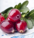 Fresh cranberries Royalty Free Stock Photo