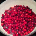 Fresh Cranberries Cooking in a Dutch Oven Royalty Free Stock Photo