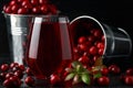 Fresh Cranberries juice in glass. Freshly made, organic, rustic style.