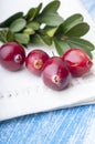 Fresh cranberries with leaves Royalty Free Stock Photo