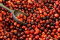 Fresh cranberries with metallic scoop