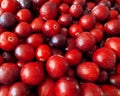 Fresh cranberries Royalty Free Stock Photo