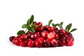 Fresh cranberries on a white background.