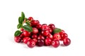 Fresh cranberries on a white background.