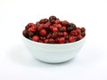 Fresh cranberries in white bowl