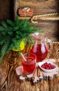 Fresh cranberry juice. The compote. Hot Christmas drink from the berries with cinnamon and star anise Royalty Free Stock Photo