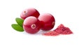 Fresh cranberry with powder on white background