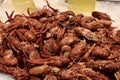 Fresh Crawdads Royalty Free Stock Photo