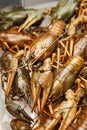 Fresh crawfish background, crayfish seafood lunch, gourmet dish