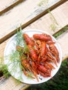 Fresh crayfish boiled with spices and dill served on a round dish.