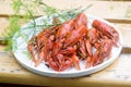 Fresh crayfish boiled with spices and dill served on a round dish.