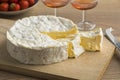 Fresh creamy French Brie cheese