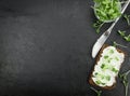 Fresh Cress with creamy Cheese on a slice of bread selective fo Royalty Free Stock Photo