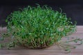 Fresh cress on wooden table. Selective focus Royalty Free Stock Photo