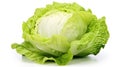 Fresh and Crisp: Isolated Iceberg Lettuce on White