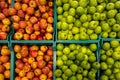 Fresh crispy apples flatlay. Colorful fruits on the left and green ones on the right.