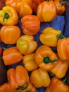 fresh crispy Orange bell pepper in an Asian market