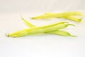 Yellow beans on a white background. Royalty Free Stock Photo