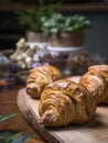 Fresh croissant a flaky, viennoiserie pastry. Royalty Free Stock Photo