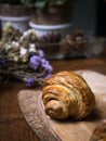 Fresh croissant a flaky, viennoiserie pastry. Royalty Free Stock Photo