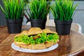 Fresh croissant with ham and salad leaf with sfresh salad on white plate Royalty Free Stock Photo