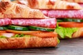 Fresh croissant with salami, chesse and vegetables Royalty Free Stock Photo