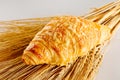 Fresh croissants with cheese. traditional hommade french pastries for breakfast